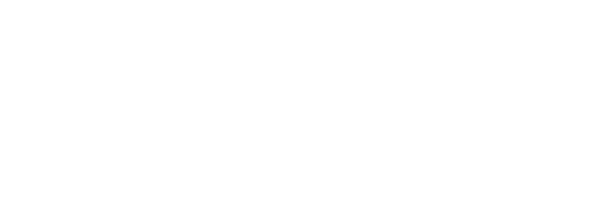 Meta Business Partner