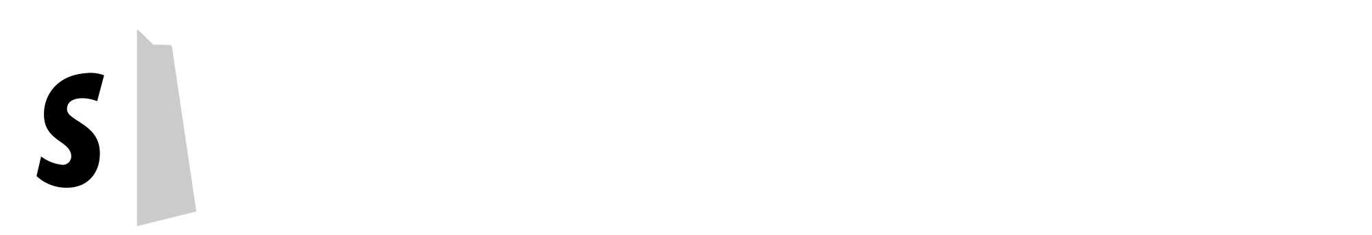 Shopify Partner